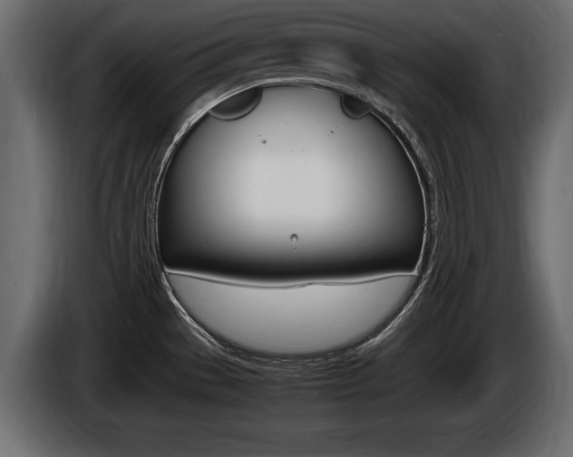 X0000086721529200704130718