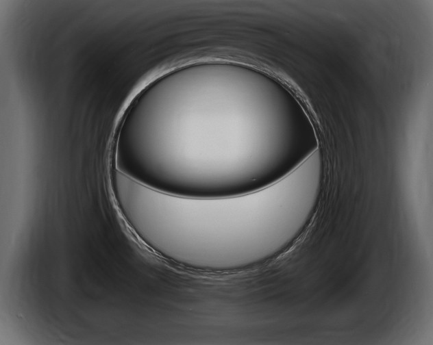 X0000086721530200704130718