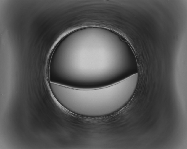 X0000086721531200704130718