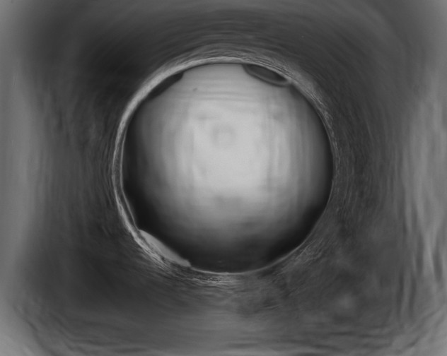 X0000086721536200704130718
