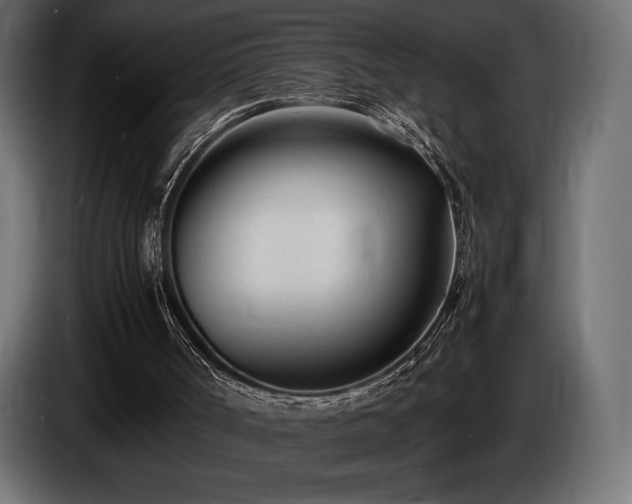 X0000086720002200704131055
