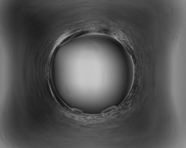 X0000086720003200704131055