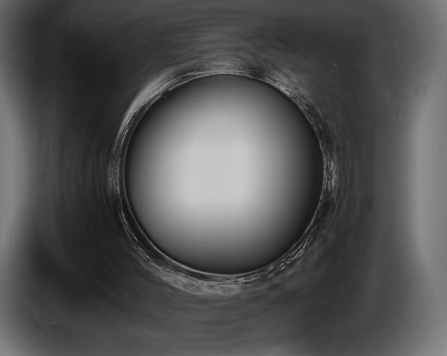 X0000086720004200704131055