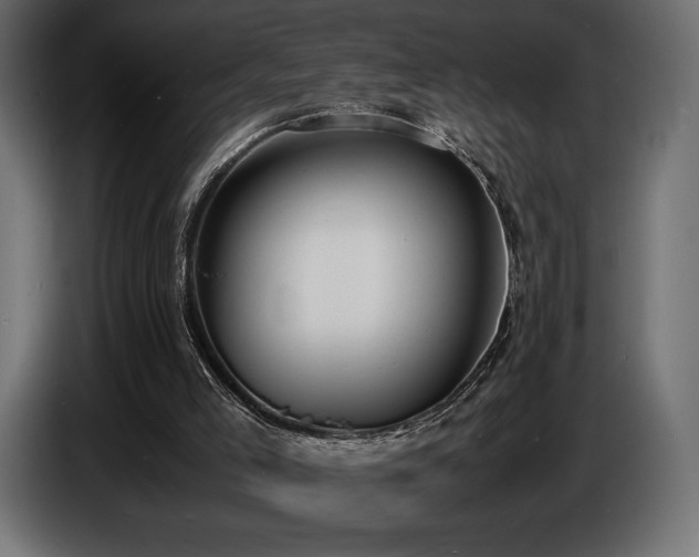 X0000086720005200704131055