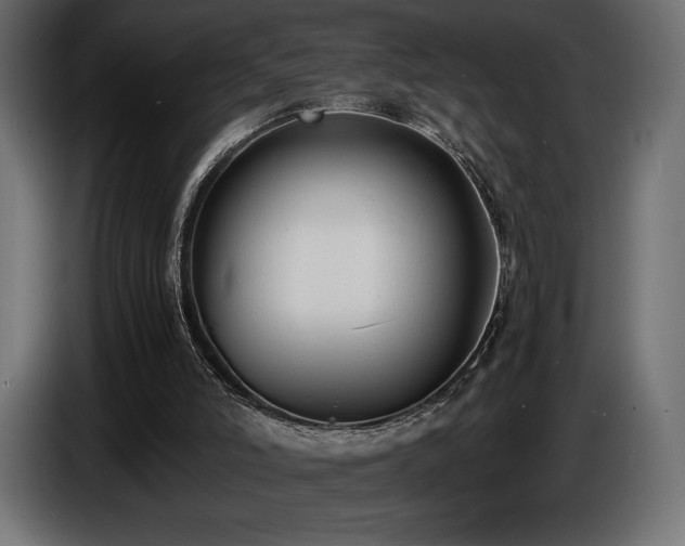 X0000086720006200704131055