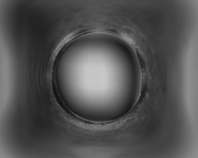 X0000086720007200704131054