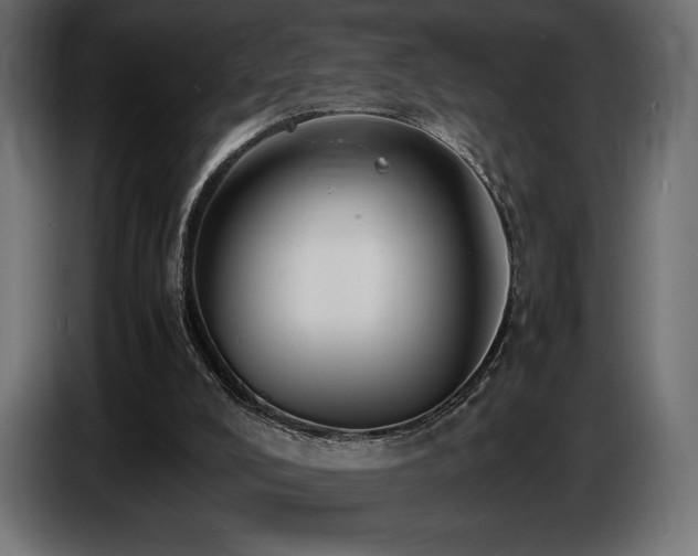 X0000086720008200704131054