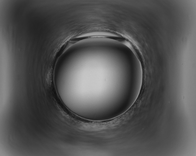 X0000086720009200704131054
