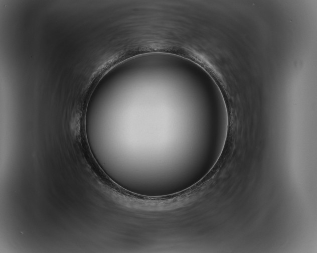 X0000086720010200704131054