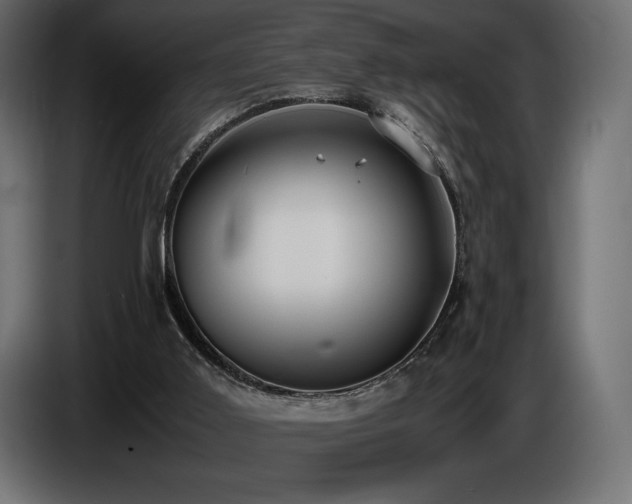 X0000086720011200704131054