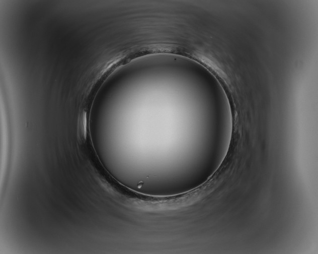 X0000086720013200704131054