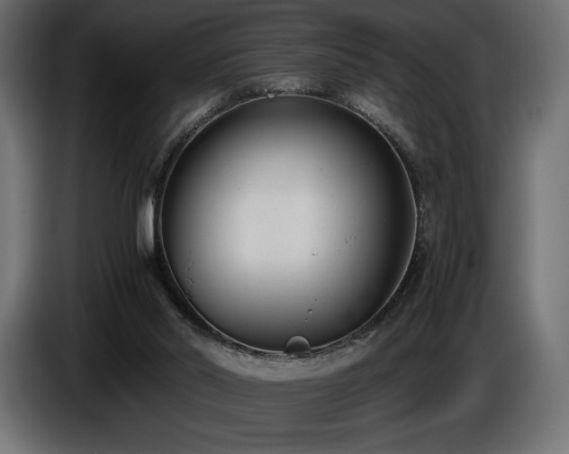 X0000086720014200704131054