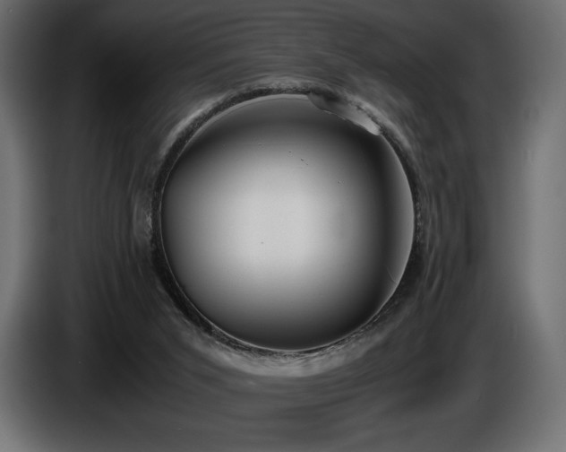X0000086720015200704131054