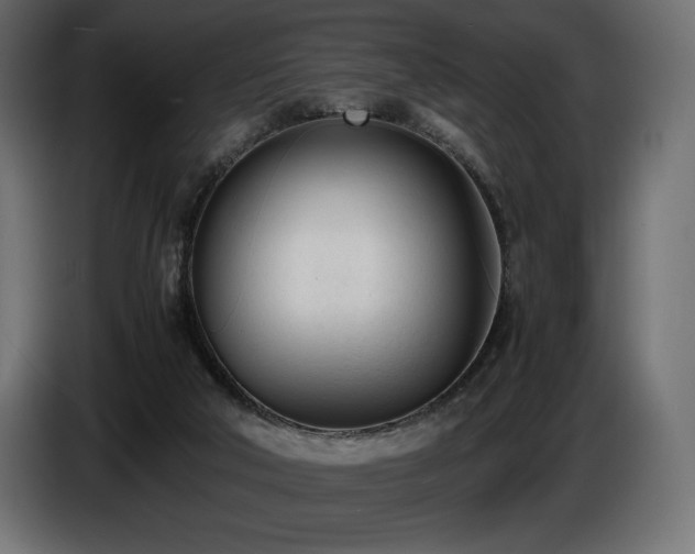 X0000086720018200704131054