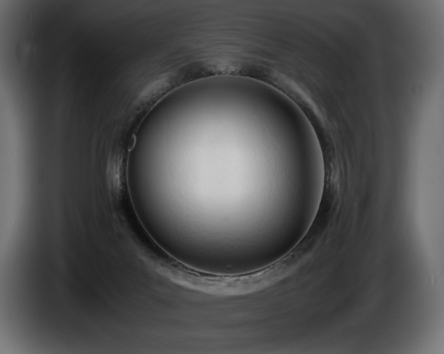 X0000086720023200704131054