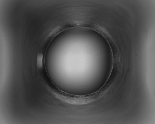 X0000086720024200704131054
