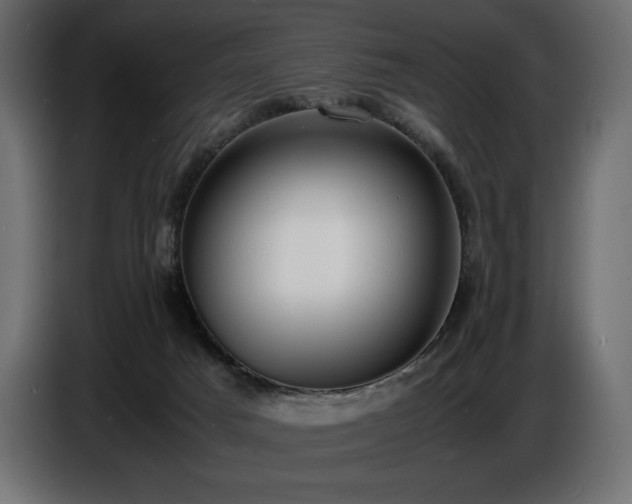X0000086720025200704131054