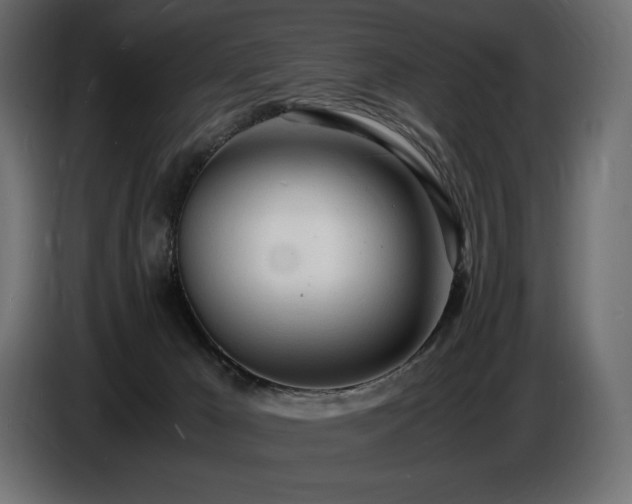 X0000086720029200704131054