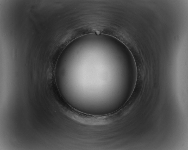 X0000086720032200704131054