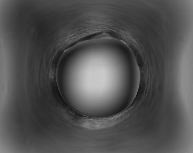 X0000086720033200704131054