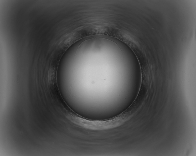 X0000086720034200704131054