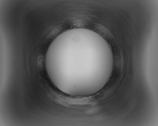 X0000086720036200704131054