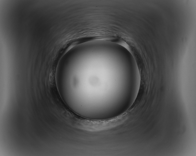 X0000086720037200704131054