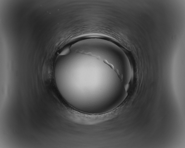 X0000086720039200704131054