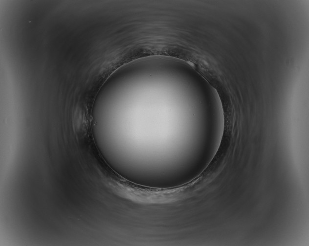 X0000086720040200704131054