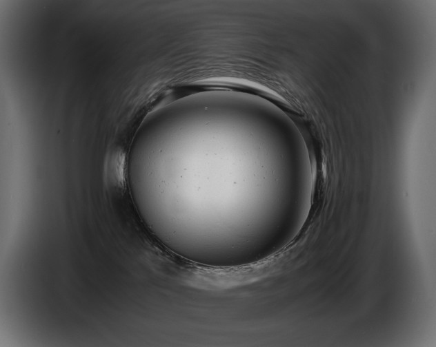 X0000086720041200704131054