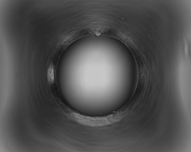 X0000086720042200704131054