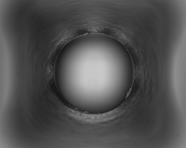 X0000086720043200704131054