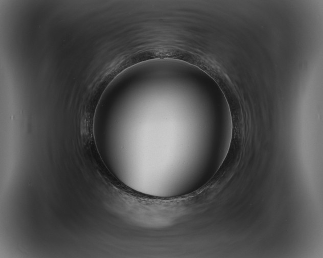 X0000086720044200704131054