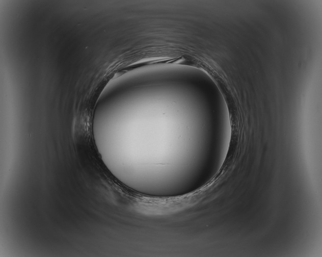 X0000086720045200704131054