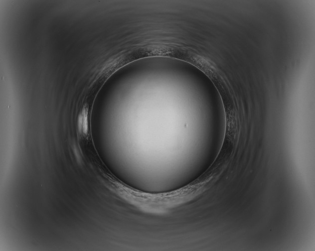 X0000086720046200704131054