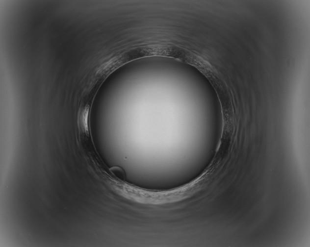 X0000086720047200704131054