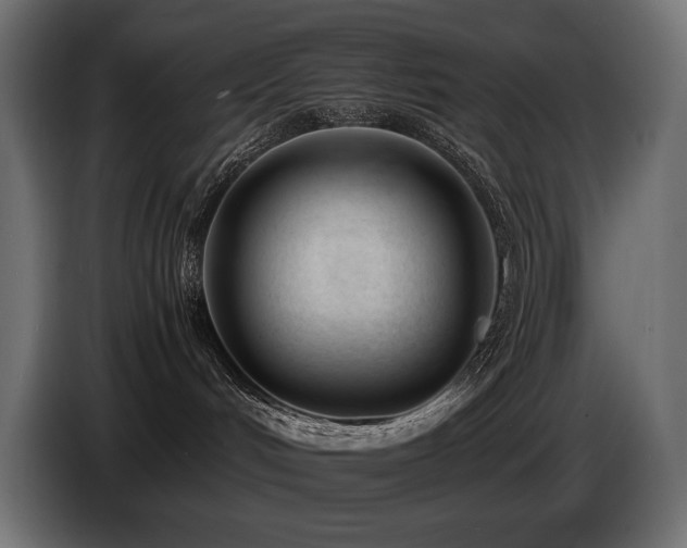 X0000086720048200704131054