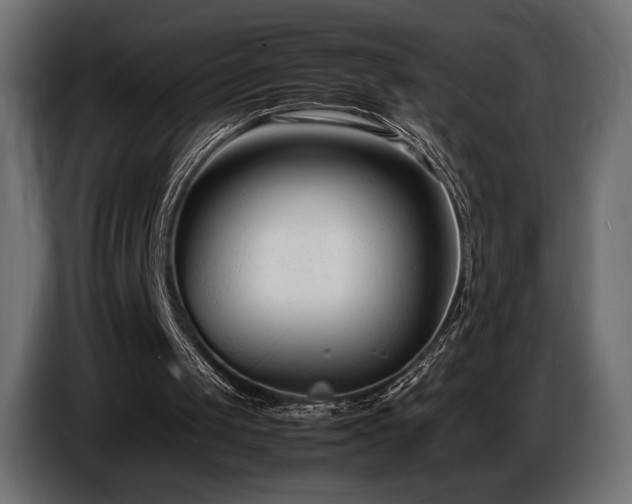 X0000086720049200704131053