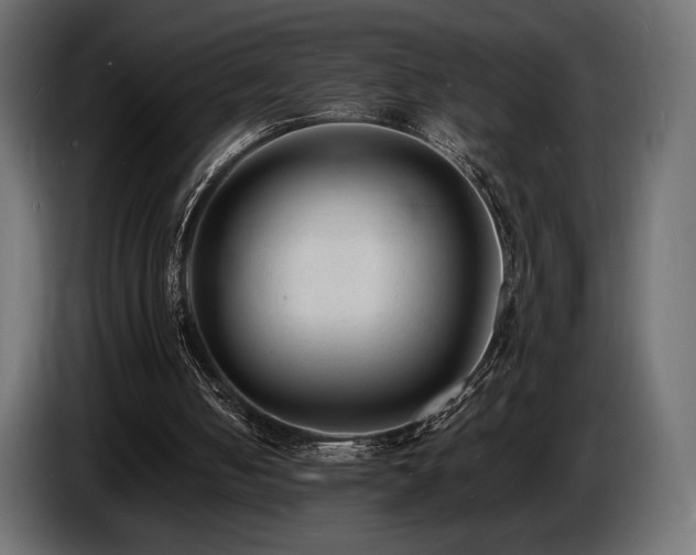 X0000086720050200704131053