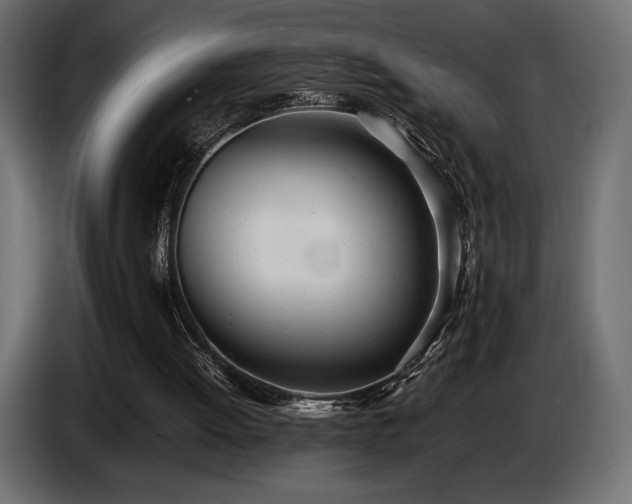 X0000086720052200704131053