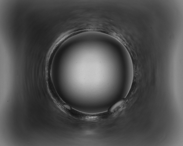 X0000086720055200704131053