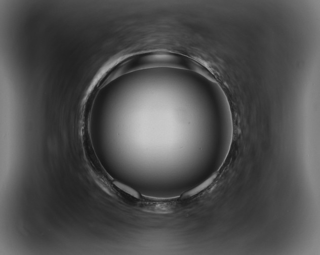 X0000086720056200704131053
