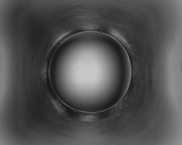 X0000086720058200704131053