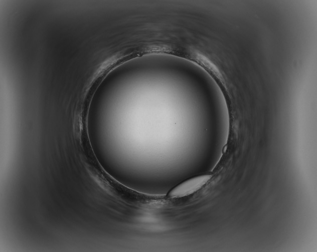 X0000086720059200704131053