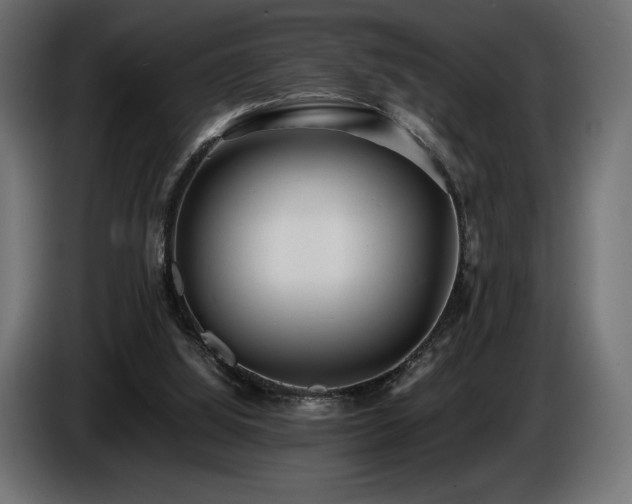 X0000086720060200704131053