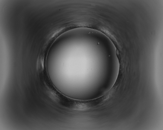X0000086720062200704131053