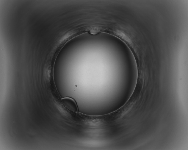 X0000086720063200704131053