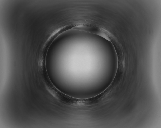 X0000086720064200704131053