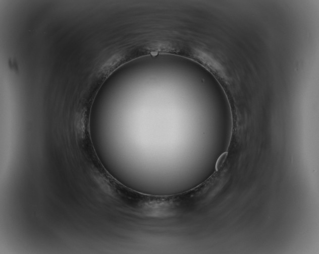 X0000086720065200704131053