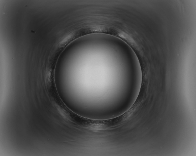 X0000086720066200704131053